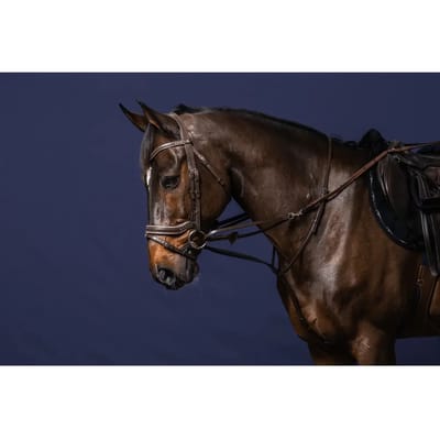 Teugels voor het longeren van paarden Dy'on Howlett