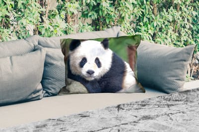 Buitenkussens - Tuin - Panda - Wilde dieren - Portret - Steen - 50x30 cm