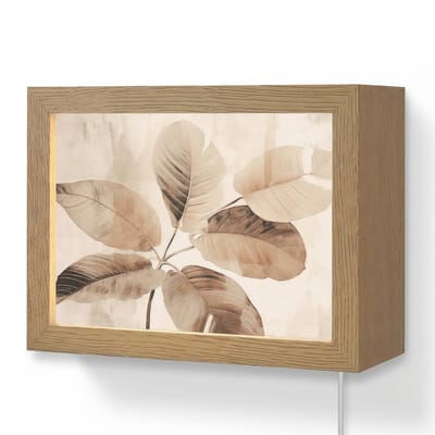 Wandlamp 20x15 cm - Oplaadbaar - Gedroogde plant - Natuur - Bruin - Planten - Wandlampen binnen woonkamer - Slaapkamer lamp met kabel - Decoratieve nachtlamp - Vloerlamp snoer