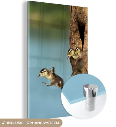 MuchoWow® Glasschilderij 40x60 cm - Schilderij acrylglas - Vogels - Jong - Boom - Foto op glas - Schilderijen