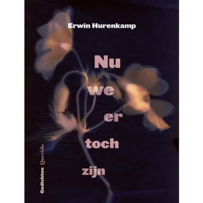 Nu We Er Toch Zijn - Erwin Hurenkamp
