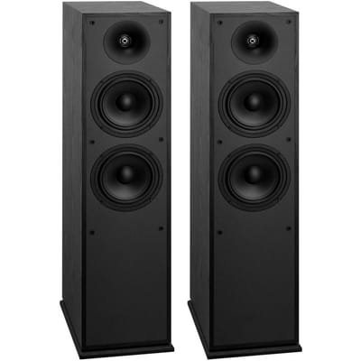 Enceintes sur pied, 2 voies, Enceintes colonnes sur pied avec tweeter de 25,4 mm, Doubles woofers de 165,1 mm, Pic de 400 W, Réponse en fréquence 65 Hz-20 kHz,
