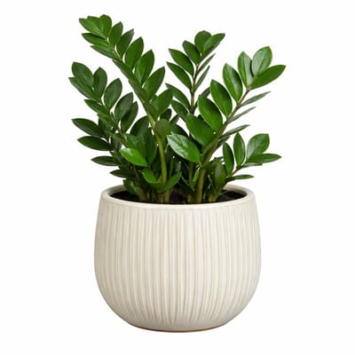 Mica Decorations Plantenpot - keramiek - wit glans / ribbels - D16 x H14 cm - bloempot Pablo