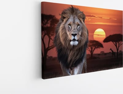 Saammp Canvas Schilderij - Leeuw met afrikaanse zonsondergang - Dieren - Natuur - 45x30 - Foto op canvas - Wanddecoratie - Muurdecoratie Woonkamer - Slaapkamer decoratie - Canvas Print