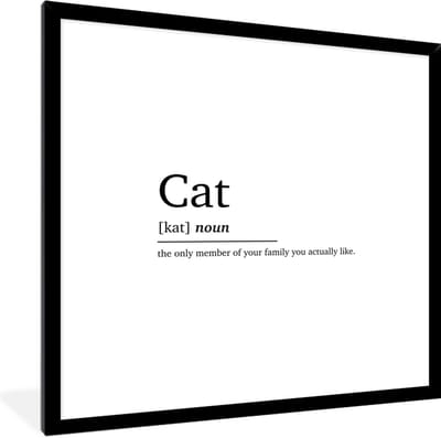 Fotolijst incl. Poster - Spreuken - Quotes - Woordenboek - Kat definitie - Cat - 40x40 cm - Posterlijst