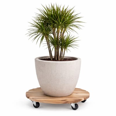 Mega Collections Plantenpot trolley - Acacia hout - D35 x H8 cm - tot 80 kg - multiroller - hondje