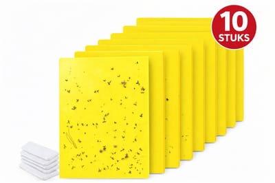 Lijmplaat - Fruitvliegjes Vanger - 10 Stuks - Lijmvallen - Vliegenvangers Plakstrip