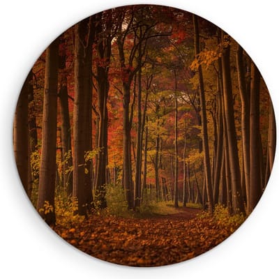 Saammp Muurcirkel Hout - Herfstbos - Pad met zonsondergang - Landschap - Natuur - Ø 90 - Wandcirkel - Wanddecoratie Cirkel - Muurdecoratie Woonkamer - Slaapkamer decoratie - Rond Schilderij