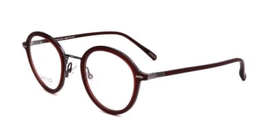Safilo SAGOMA 05 Red transparent 48/24/145 MAN Brilmonturen