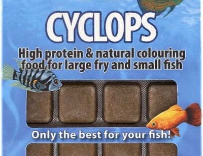 Ruto Cyclops blister diepvriesvoer 100 gram | portieblokjes voor aquariumvissen Diepvries