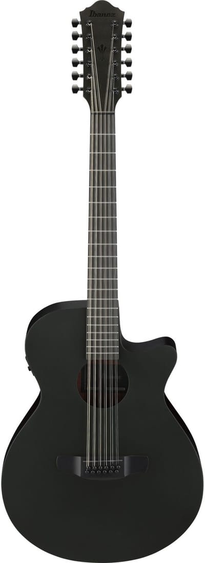 Ibanez AEG1221-BOT 12-String - 12-String akoestische gitaar