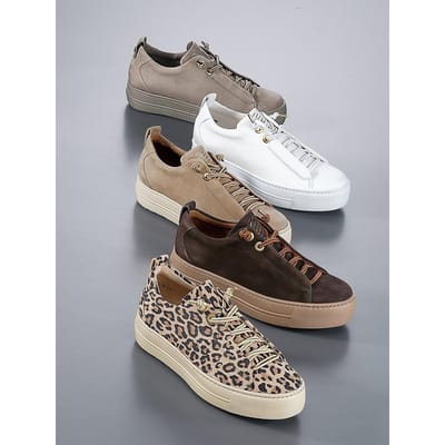 Sneakers kalfsnappaleer Van Paul Green bruin