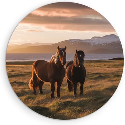 Saammp Muurcirkel Hout - Paarden in de wei - Dieren - Natuur - Ø 90 - Wandcirkel - Wanddecoratie Cirkel - muurdecoratie Woonkamer - Slaapkamer decoratie - Rond Schilderij
