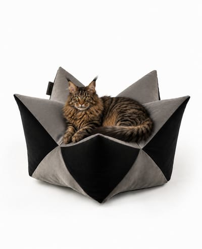 lionto Sterrenkussen kat, zacht kattenbed 85x45 cm grijs/zwart
