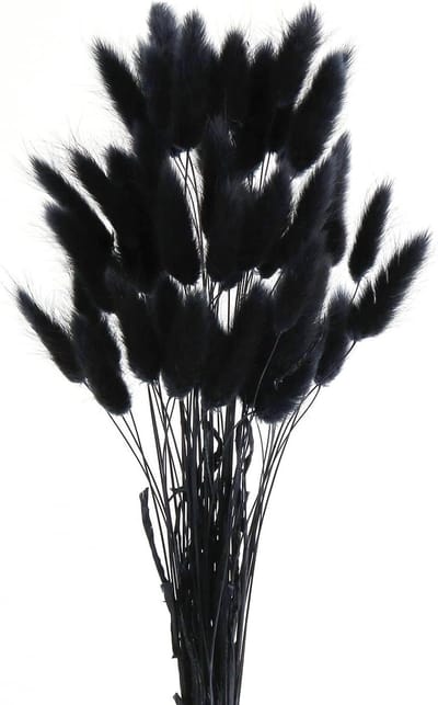Decoratie Pampas Gras - Gedroogd Zwart 50 Stuks voor Woonkamer en Bruiloft - Boho Bloemen en Tafel Decoratie - Rustieke Boerderij Feest Decoratie - Thuis
