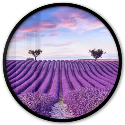 Poster in lijst Rond - Fotolijst 40x40 cm - Posters - Lavendel - Natuur - Paars - Bomen - Bloemen - Ronde posterlijst zwart - Decoratie - Wanddecoratie woonkamer - Muurdecoratie slaapkamer