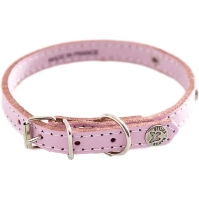 Hondenhalsband Sellerie Canine Vendéenne Plaq