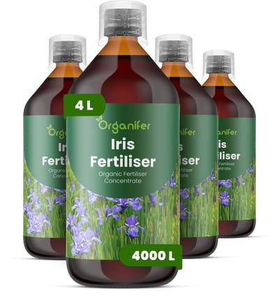 Vloeibare Meststof Voor Iris 4X1 L Voor 4000 L - Npk 2-1-8 - Knopvorming - Langdurige Bloei - Kleurrijke Bloei - Wortelontwikkeling - Sterke Bladeren - Stevige Stelen - Gezonde Rhizomen - Droogtetolerantie - Kleurintensiteit - Organifer