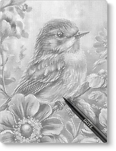 Levendig Klein Vogeltje | Dot painting | 30x40cm | Dot painting | Oh My Dotz | Dots stippen | Diamond painting & Schilderen op nummer alternatief | Happy hobby