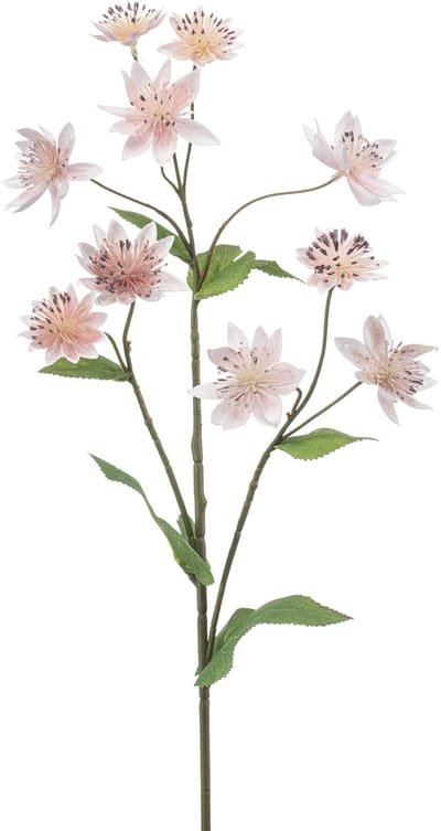 Emerald - Kunstbloem Astrantia lichtroze 70cm - Kunstplant voor binnen