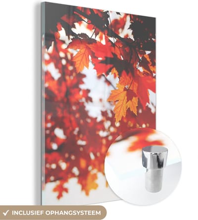 MuchoWow® Glasschilderij 30x40 cm - Schilderij acrylglas - Herfstbladeren - Landelijke decoratie - Zon - Foto op glas - Schilderijen