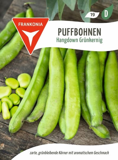 Tuinboon, Hangdown groene kern - Bonenzaden, groentezaden, zaailingen, zaden