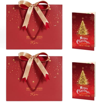 Dailygoods- Geschenkzakjes met handvat - 2 Papieren Zakjes 25 x 20 x 12 cm - Cadeautasjes - Verpakking - Wenskaarten - Waterdicht en Stevig - Cadeauzakjes