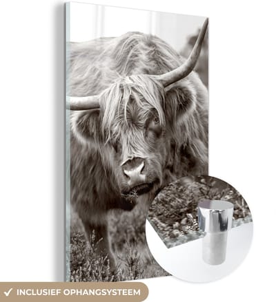 MuchoWow® Glasschilderij 100x150 cm - Schilderij acrylglas - Schotse Hooglander - Zwart - Wit - Hoorns - Foto op glas - Schilderijen