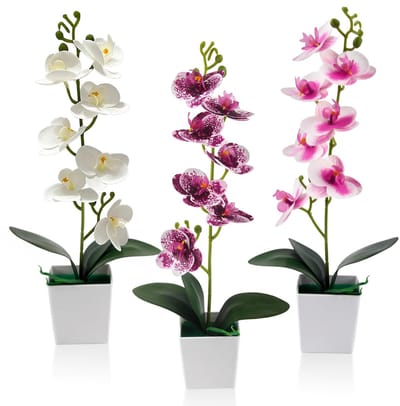 Dailygoods- Kunstorchideeën 3 Stuks - Kunstbloemen in Pot - 43 cm - Phalaenopsis - Tafeldecoratie - Woondecoratie - Nepplant