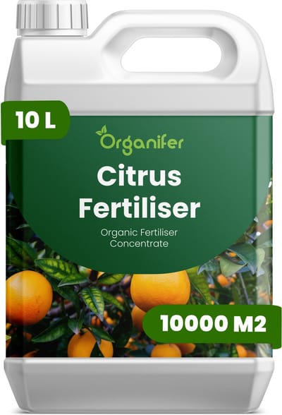 Vloeibare Meststof Voor Citrus 10 L Voor 10000 M2 - Npk 2-1-8 - Citrussoorten - Krachtige Groei - Bloei - Sterke Vruchtzetting - Sterke Wortels - Aromatische Vruchten - Hittebestendig - Bladkleur - Gezonde Kroon - Binnen-Citrus - Organifer
