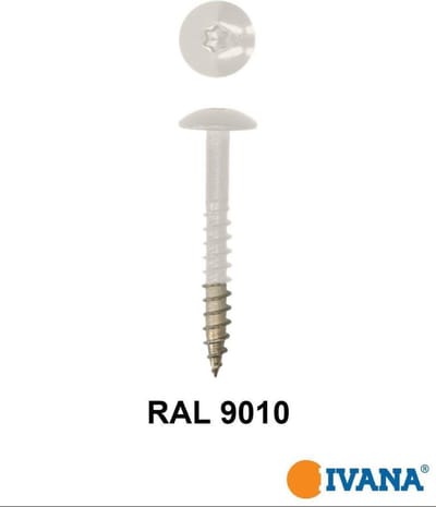 Ivana Gevelschroef t.b.v. Trespa RAL9010 Gebroken Wit TX-20 4.8x38 - 100St