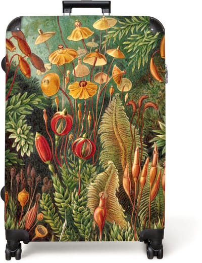 NoBoringSuitcases.com® - Koffer groot - Reiskoffer lichtgewicht - Vintage - Kunst - Natuur - Haeckel - Oude meesters - Rolkoffer met 4 wielen - Grote trolley XL - 98 liter bagage