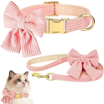 Dailygoods - Hondenhalsband en Lijn Set, Verstelbare Puppy Halsband, Schattig Hondenhalsband met Bloemenstrik en 150 cm Lijn, Comfortabel Halsband voor Kleine en Middelgrote Honden