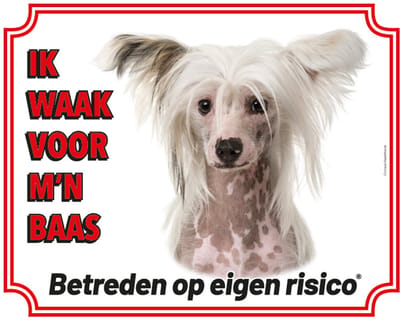 Chinese Naakthond Waakbord - Ik waak voor