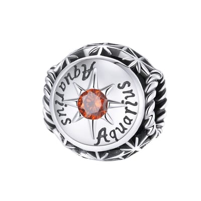 Sterrenbeeld waterman bedel met rode zirkonia geboortesteen | bedels voor armband | zodiac aquarius bead | Zilverana | geschikt voor alle bekende merken | 925 zilver | moederdag