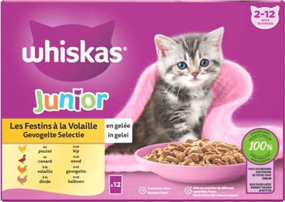 3x Whiskas junior 2-12M Natvoer - Gevogelte - Selectie in gelei - maaltijdzakjes 12 x 85 g