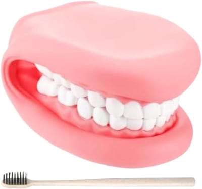 Handpoppen voor kinderen - Tanden model - Mondhygiëne leren - Beweegbare tong - 13 x 10 x 16 cm - Wit