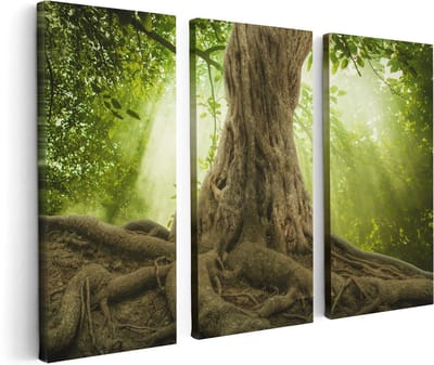 Artaza Canvas Schilderij Drieluik Grote Boom In Het Bos Met Wortels - 120x80 - Foto Op Canvas - Canvas Print