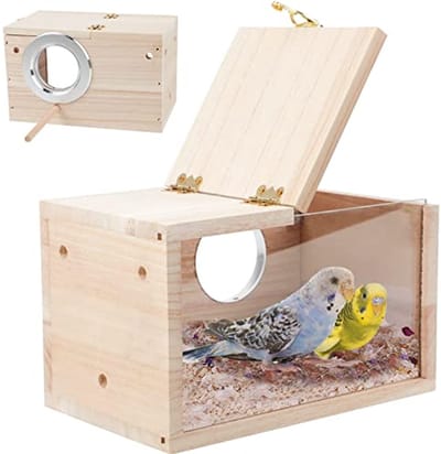 Nestkast voor kleine vogels - Transparante houten broedbox voor parkieten, kanaries en vinken