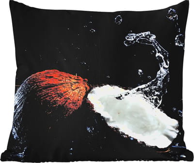 Tuinkussen - Kokosnoot - Stilleven - Water - Zwart - Fruit - 40x40 cm - Weerbestendig