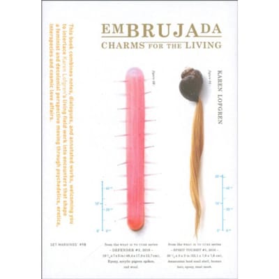 Embrujada - Karen Lofgren