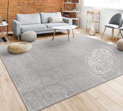 Paco Home Vloerkleed Woonkamer Effen Eenvoudig En Modern Laagpolig, Versch. Afmetingen Kleuren 240x340 cm