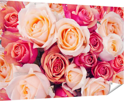 Gards Tuinposter Roze Rozen Achtergrond - Bloemen - 180x120 cm - Tuindoek - Tuindecoratie - Wanddecoratie buiten - Tuinschilderij
