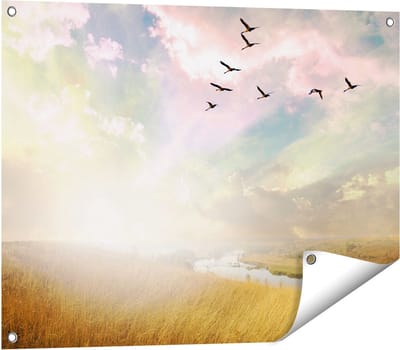 Gards Tuinposter Groep Vogels Vliegen Boven het Gras - 80x60 cm - Tuindoek - Tuindecoratie - Wanddecoratie buiten - Tuinschilderij
