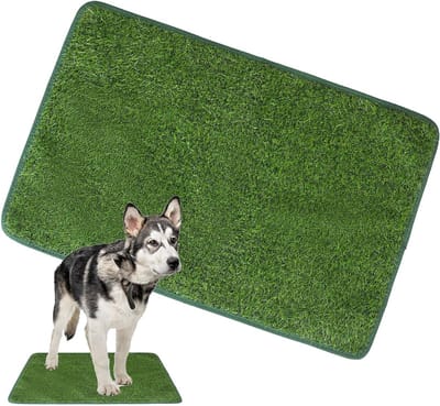 Honden Plas Trainingsmat - Zindelijkheidstraining Hond - Huisdier Zindelijk Maken - Herbruikbaar en Wasbaar - 46x71 cm - Groen