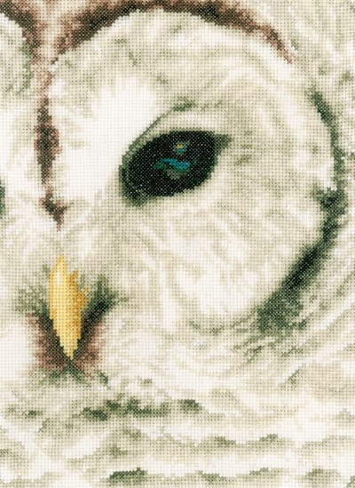 Lanarte Borduurpakket - Borduurset - Borduurpakket volwassenen - Telpakket kit - 19 x 26cm - Uil - PN-0163781