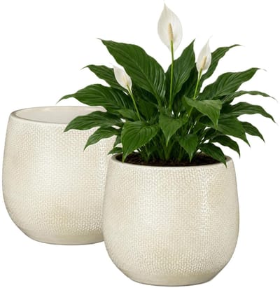 Mica Decorations Plantenpot - 2x - keramiek - wit glans / ribbels - D17 x H18 cm - bloempot Havana