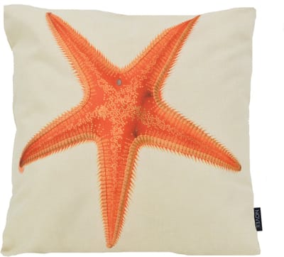 Sea Star / Zeester Kussenhoes | 45 x 45 cm | Katoen/Linnen