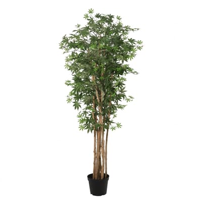 Florafy Kunstplant Japanse Esdoorn 180cm - Kunstplanten voor binnen - Onderhoudsvrij
