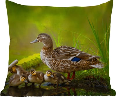 Tuinkussen - Eend - Vogels - Water - Tak - Mos - 40x40 cm - Weerbestendig